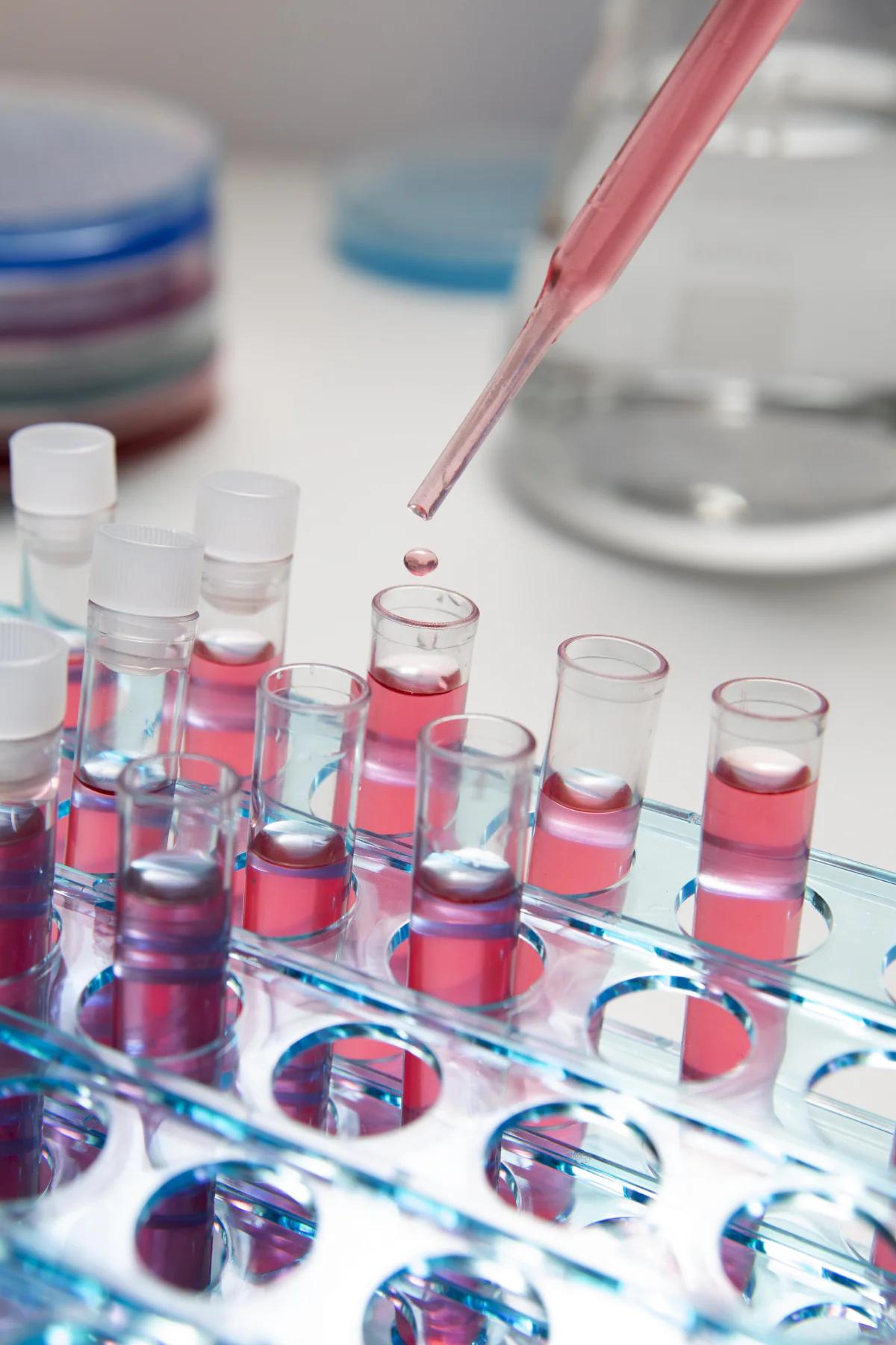 Pharmaceutical translation quality system