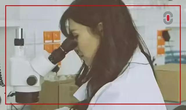 Precision You Can Prescribe: Global Pharma Localization Case Study