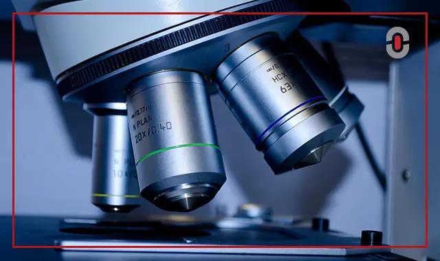 Medical Translation Companies: Why Healthcare Needs Specialists